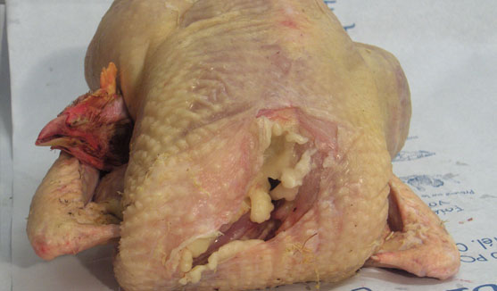 volailles prêtes à cuire