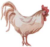 Ferme du bichet - poule et lapin